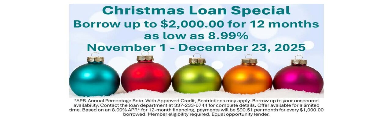 2025 christmas loan special web